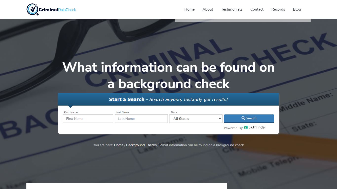 What information can be found on a background check